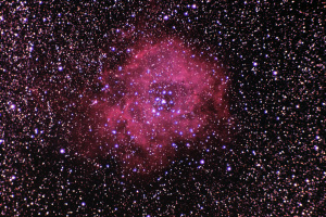 Rosette Nebula, Torrey, 2/16/2015